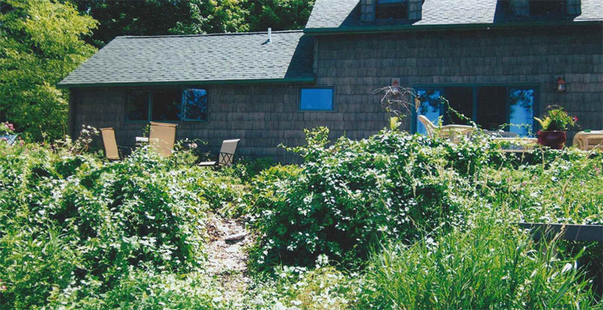 Muskegon Landscape Gallery 1