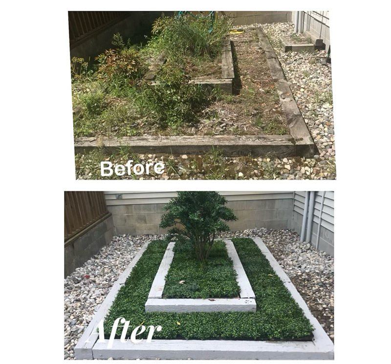 Grand Haven Landscape