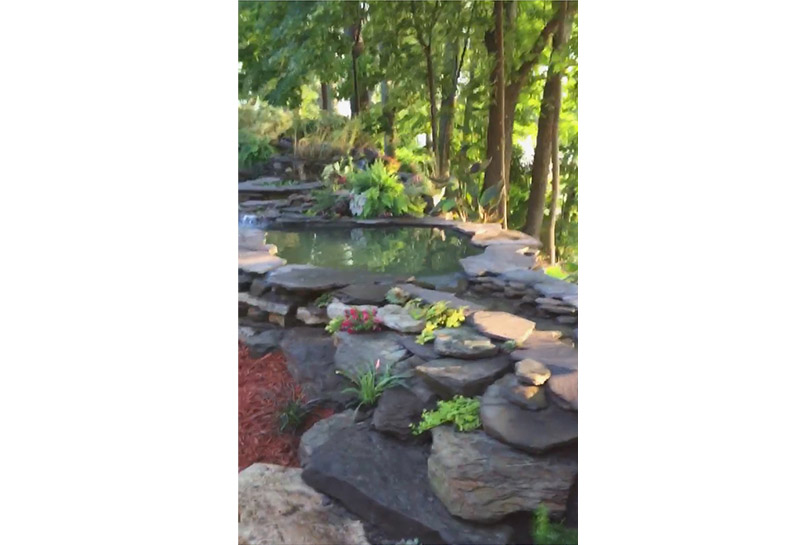 Muskegon Landscape After