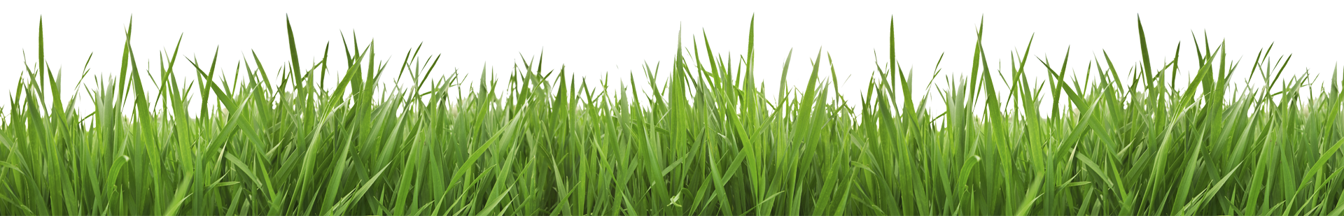 Lawn Care in Muskegon, MI